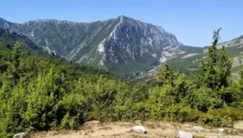 Të shtëna me armë gjatë operacionit antikanabis në Qafështamë, dyshohet për policë të përfshirë