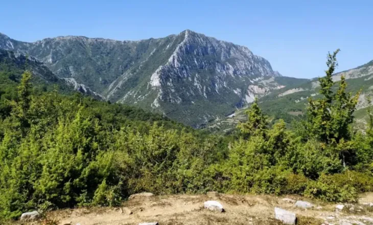 Të shtëna me armë gjatë operacionit antikanabis në Qafështamë, dyshohet për policë të përfshirë