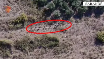Tentuan të transportonin 6 emigrantë drejt Greqisë, arrestohen dy persona në Sarandë