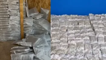 Trafik droge nga Kanadaja/ Kapet në Durrës “Gelato” me vlerë 1.2 mln €, dy persona në kërkim (VIDEO)