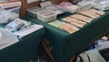 Trafik droge përmes pakove postare, goditet banda kriminale: Arrestohen 5 persona