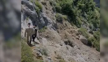 Tragjedi në Kelmend, 40-vjeçari bie në humnerë dhe humb jetën