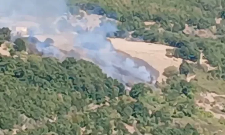 Tre vatra zjarri në Kukës, flakët përhapen në Tërthore dhe Zapod