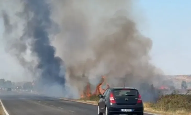 Tymi dhe flakët pushtojnë aksin Lezhë-Shkodër, rrezik për drejtuesit e mjeteve (VIDEO)