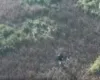 U plas në duar “zjarrvënësve” në Fier, u arrestuan në flagrancë 2 shtetas të dyshuar si autorë