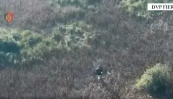 U plas në duar “zjarrvënësve” në Fier, u arrestuan në flagrancë 2 shtetas të dyshuar si autorë