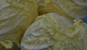 Ushqimi që mund të ndihmojë tretjen dhe imunitetin, ja pse po vlerësohet gjithnjë e më shumë