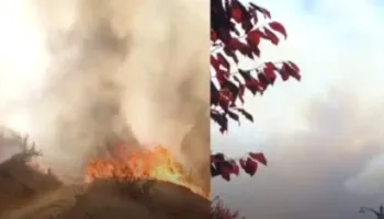 Vatër e madhe zjarri edhe në Radostinë, flakët përfshijnë pyllin me pisha! Era i favorizon, rrezikohen dhe dy lokale