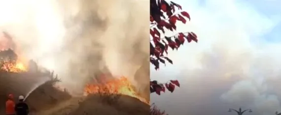 Vatër e madhe zjarri edhe në Radostinë, flakët përfshijnë pyllin me pisha! Era i favorizon, rrezikohen dhe dy lokale