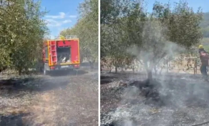 Vatër e madhe zjarri në Cërrik, Emergjencat apel banorëve: Kini kujdes, njoftoni menjëherë sapo të evidentoni vatra!