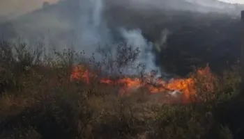 Vatër e madhe zjarri në Finiq, digjet një sipërfaqe me pemë dhe shkurre, rrezikohen edhe banesat