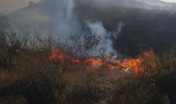 Vatër e madhe zjarri në Finiq, digjet një sipërfaqe me pemë dhe shkurre, rrezikohen edhe banesat