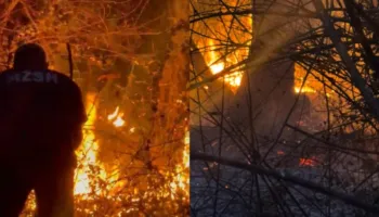 Vatër e rrezikshme zjarri edhe në Picar të Gjirokastrës, flakët ‘përpijnë’ zonën pyjore dhe i drejtohen banesave të fshatit!