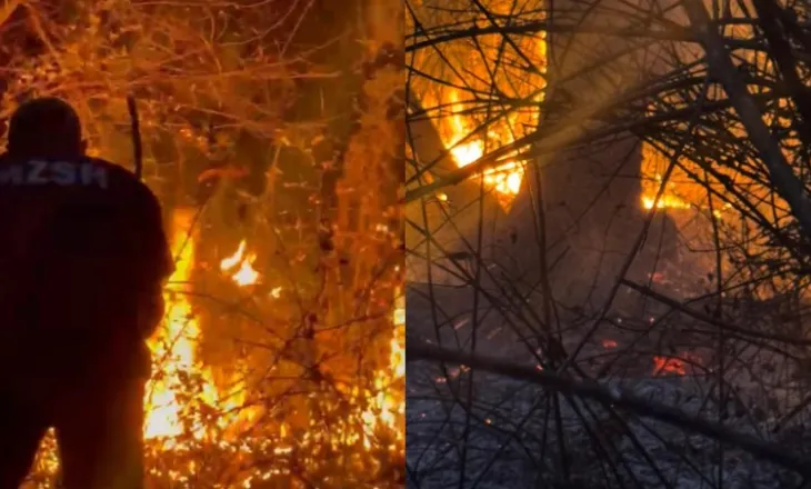 Vatër e rrezikshme zjarri edhe në Picar të Gjirokastrës, flakët ‘përpijnë’ zonën pyjore dhe i drejtohen banesave të fshatit!