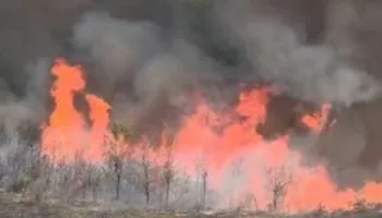 Vatër zjarri edhe në Qinam të Tiranës, flakët pranë depos së lëndëve plasëse, aksion për shmangien e pasojave!