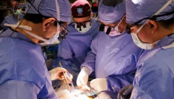 Veshka e transplantuar e derrit funksionoi te njeriu për një rekord prej 271 ditësh –