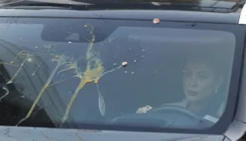 Vezë ndaj makinave të deputetëve, protestuesit qëllojnë edhe automjetin e Briseida Çakërrit