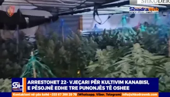 VIDEO – Arrestohet 22- vjeçari nga Vau Dejësi për kanabis, e pësojnë edhe 3 punonjës të OSHEE…