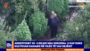 VIDEO – Arrestohet 50- vjeçari nga Shkodra, u kap duke kultivuar kanabis në Vilëz të Vau Dejësit…