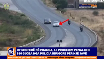 VIDEO – Dy shoferë në pranga, 13 procedim penal dhe 916 gjoba nga Policia Rrugore për një javë në Shkodër