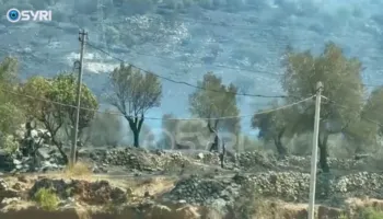 VIDEO/ Pamje apokaliptike nga Himara, nata e tmerrit nën pushtetin e flakëve