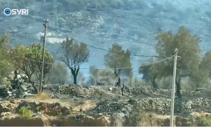 VIDEO/ Pamje apokaliptike nga Himara, nata e tmerrit nën pushtetin e flakëve