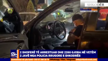 VIDEO – Policia Rrugore e Shkodrës me “dorë të hekurt”, arrestohen 2 shoferë, 2268 gjoba në dy javë…