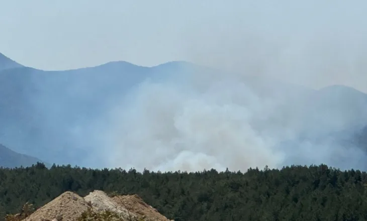VIDEO/ Zjarr i madh në Kalivaç të Lezhës, digjen disa banesa nga flakët