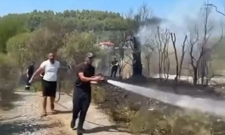 VIDEO/ Zjarr pas Kodrës së Krastës në Elbasan, rrezikohen dy banesa