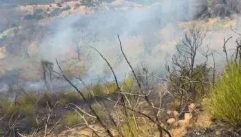 VIDEO/ Zjarret djegin ullishte e pyll me pisha në Çërrilë të Mallakastrës