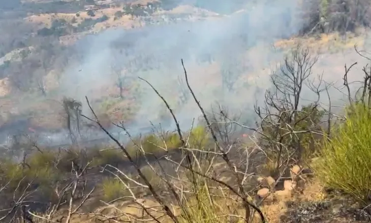 VIDEO/ Zjarret djegin ullishte e pyll me pisha në Çërrilë të Mallakastrës