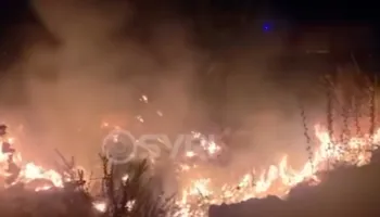 VIDEO/ Zjarri pranë Urës së Kardhiqit, rrezikoi banesat dhe magazinat