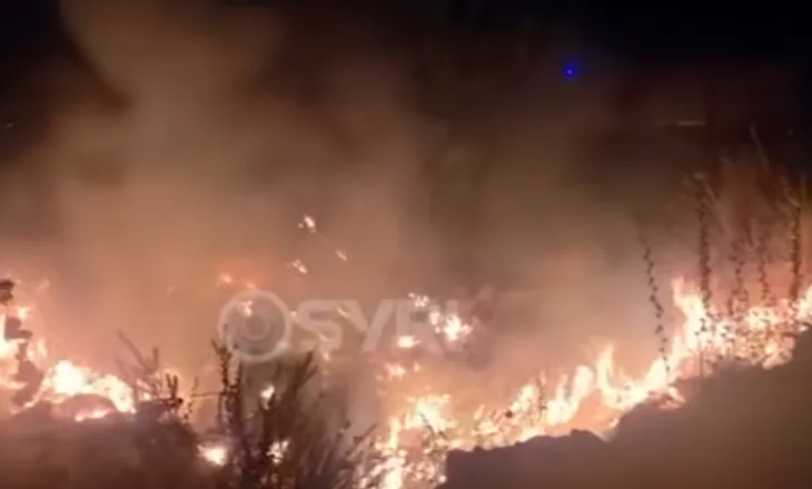 VIDEO/ Zjarri pranë Urës së Kardhiqit, rrezikoi banesat dhe magazinat