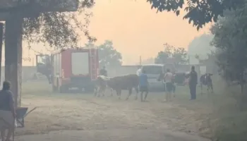 Vijon prej 24 orësh zjarri në kodrat e Bardhajve, flakët ‘kërcënojnë’ banesat