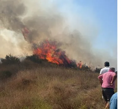 Vijon zjarri në fshatin Bago të Kavajës, rrezikohen tre banesa