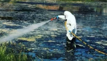 Virusi i Nilit në Greqi, 58 raste të reja dhe 24 viktima