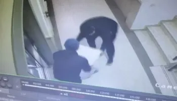 Vjedhje spektakolare në Berat, ‘skifterët’ grabisin kasafortat me 200 milionë lekë të dy biznesmenëve, Policia nis hetimet!