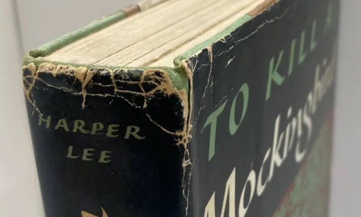 Zbulohet rastësisht një botim i rrallë i “To Kill a Mockingbird” në një librari bamirësie