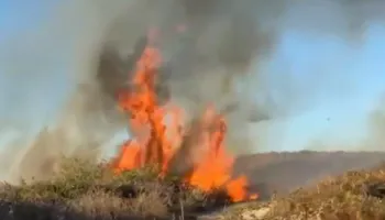 Zjarr i fuqishëm, flakët përfshijnë ullishte e shkurre pranë Parkut Arkeologjik të Apolonisë