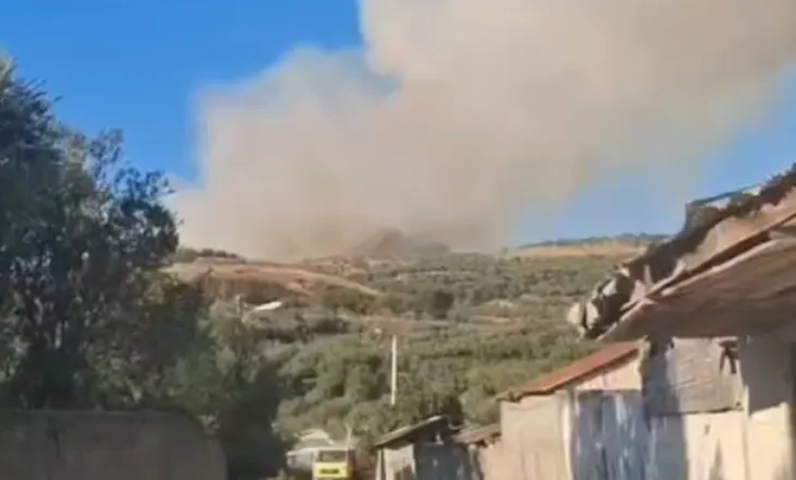 Zjarr i fuqishëm në Kreshpan, në rrezik pylli me pisha