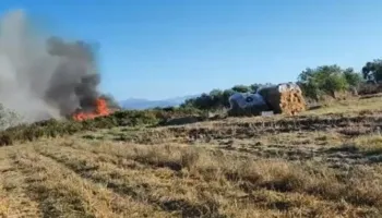 Zjarr i madh edhe në zonën e Nartës, era e fortë favorizon përhapjen e flakëve pranë banesave