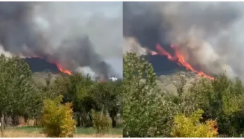 Zjarr i madh në Meselimit të Shkodrës, flakët rrezikojnë edhe banesa