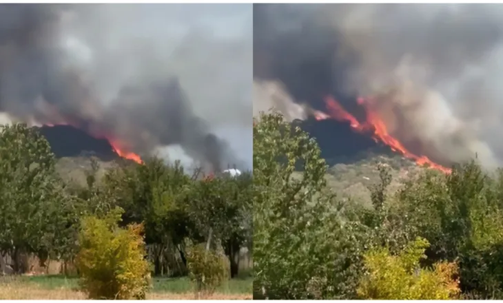 Zjarr i madh në Meselimit të Shkodrës, flakët rrezikojnë edhe banesa