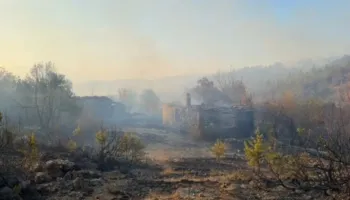 Zjarr i madh në pyjet e Lezhës, operacion nga ajri me dy helikopterë! Digjen disa banesa në Kashnjet, vendoset edhe perimetër sigurie