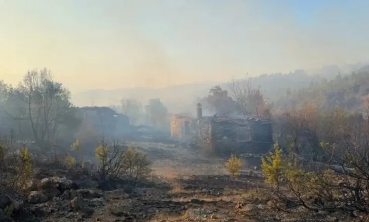 Zjarr i madh në pyjet e Lezhës, operacion nga ajri me dy helikopterë! Digjen disa banesa në Kashnjet, vendoset edhe perimetër sigurie