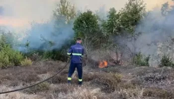 Zjarr i madh në pyjet e Matit, flakët përhapen me shpejtësi dhe djegin dhjetëra hektarë! Dyshohet për  zjarrvënie të qëllimshme