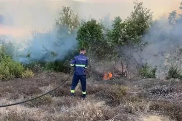Zjarr i madh në pyjet e Matit, flakët përhapen me shpejtësi dhe djegin dhjetëra hektarë! Dyshohet për  zjarrvënie të qëllimshme