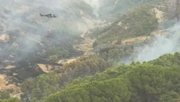 Zjarr i madh tek pylli me pisha, ndërhyrje nga ajri në Cërrilë të Mallakastrës