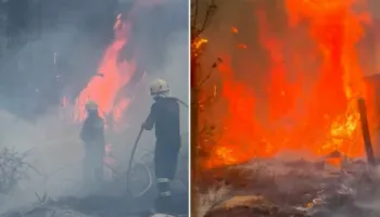 Zjarr i përmasave të mëdha në Gjirokastër, rrezikohen banesat dhe fabrika e ujit