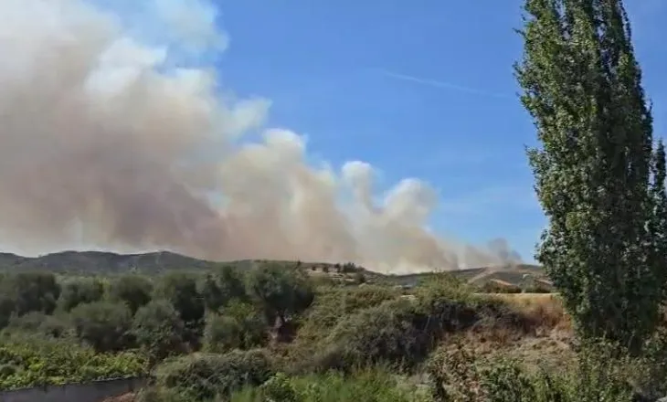 Zjarr i përmasave të mëdha në kodrat e Radostinës në Fier